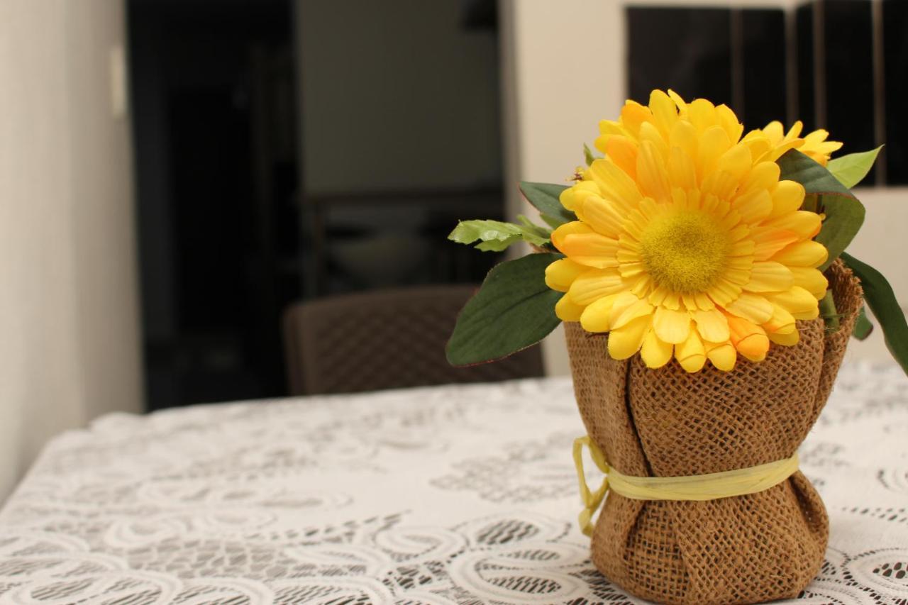 Apartamentos Excelente Ubicacion 메딜린 외부 사진