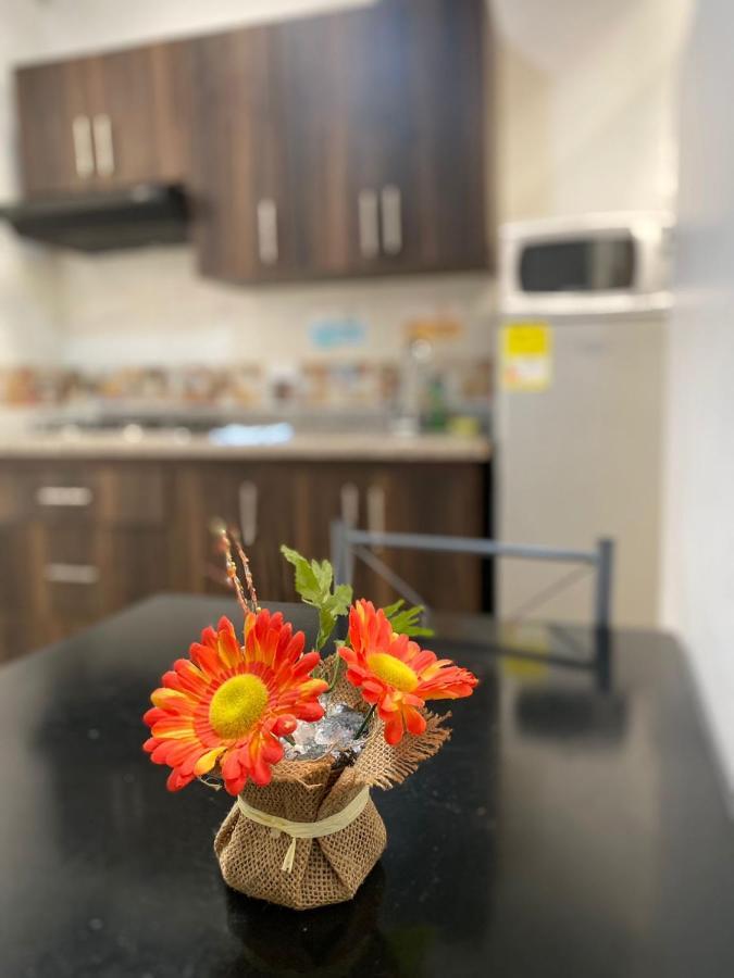 Apartamentos Excelente Ubicacion 메딜린 외부 사진