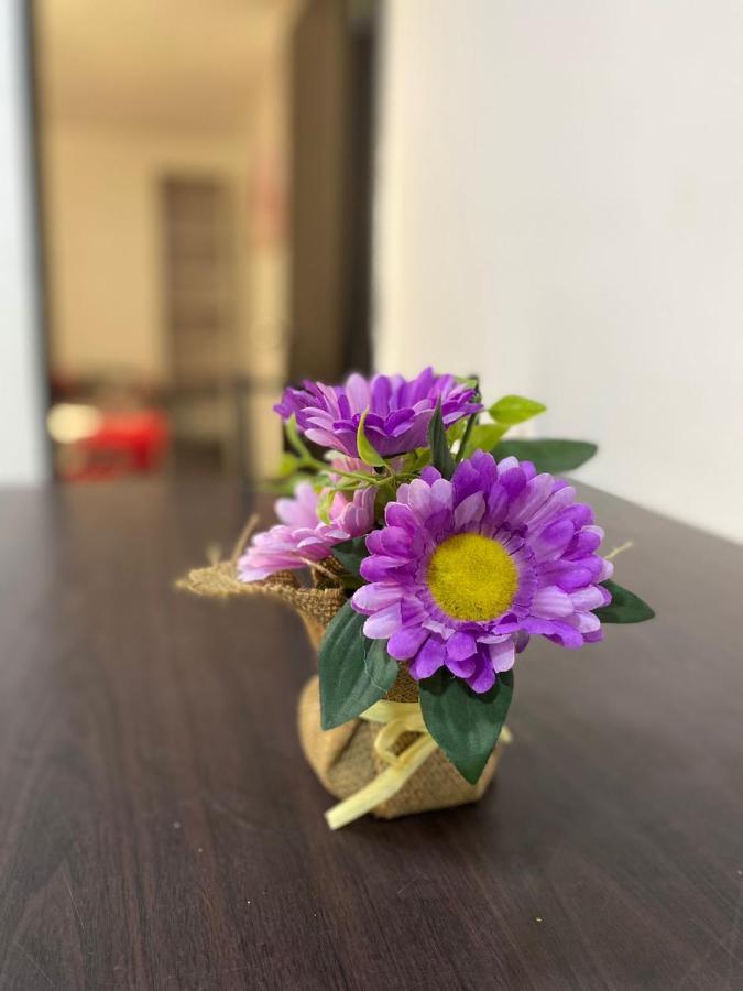 Apartamentos Excelente Ubicacion 메딜린 외부 사진